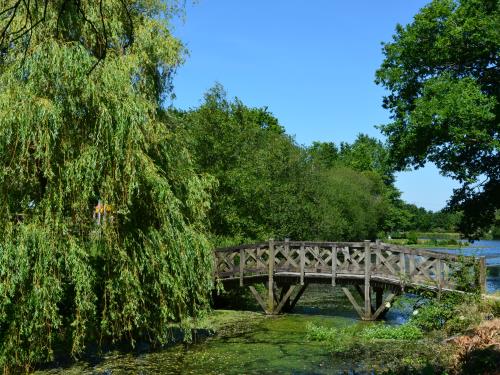 ALLAIRE - Etangs de Coueslé_nathalie guillemain - 7