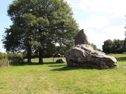 Aligmenents megalithiques de Lampouy Medreac