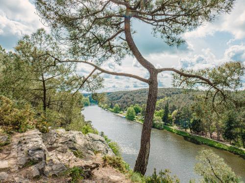 BAINS-SUR-OUST - Ile aux pies_ bauthamy madoline (12)