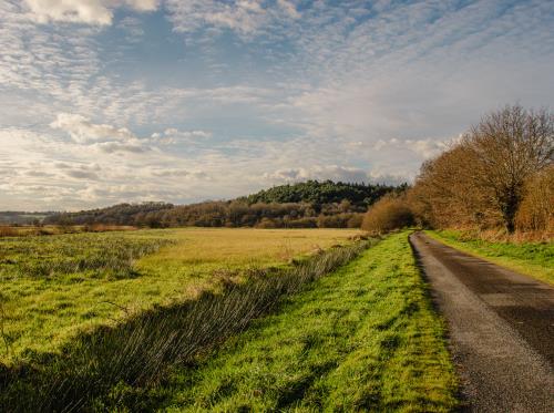 BEGANNE - les marais de beganne_bauthamy madoline (5)