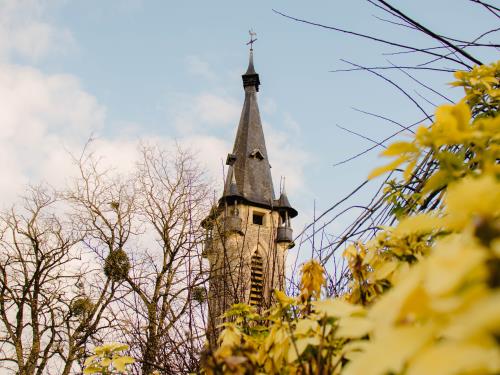 BRAIN-SUR-VILAINE - Le bourg_bauthamy madoline (43)—Madoline Bauthamu BRAIN-SUR-VILAINE - Le bourg_bauthamy madoline (43)