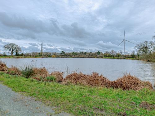 CONQUEREUIL - Etang de Coisma_bauthamy madoline (8)