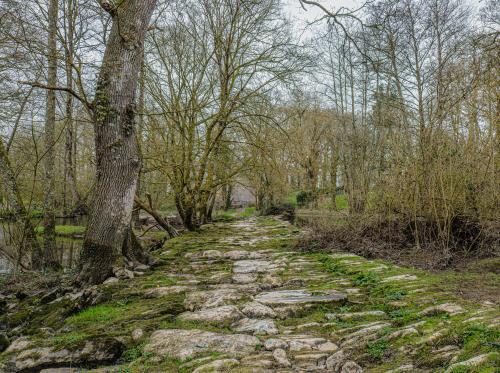 CONQUEREUIL - Voie romaine_ bauthamy madoline (8)