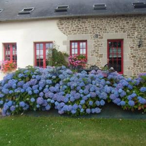 Madame Touquet—DR Prestataire Madame Touquet