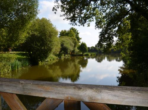 Étangs_de_Coueslé_Allaire_OTPR_2024 (6)