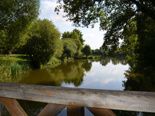 Étangs_de_Coueslé_Allaire_OTPR_2024 (6)