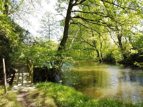 GUEMENE-PENFAO - Bords du Don_solenn rigault - 2