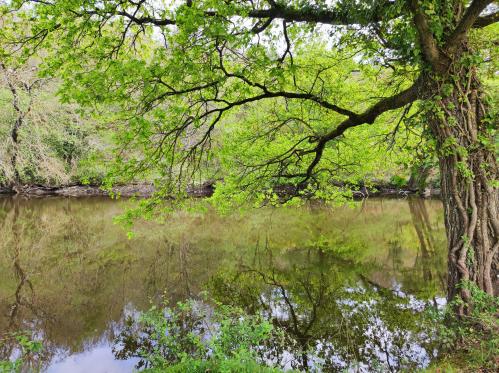 GUEMENE-PENFAO - Vallee du Don_charles menguy - 4