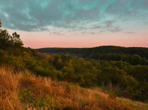 GUEMENE-PENFAO - Vallee du Don_morgane masson - 3