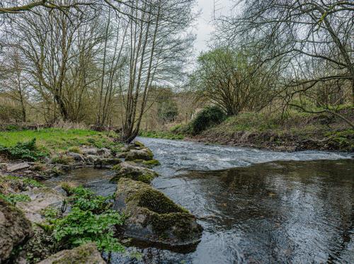 PEILLAC - PEILLAC - Moulin de Guéveneux_Peillac_Bauthamy Madoline  (2)