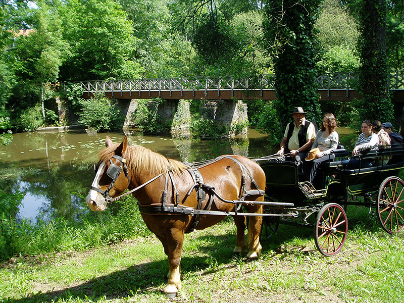 Rencontre guenange