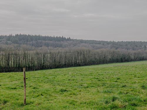 SAINT-GANTON - bourg_madoline bauthamy) (5)