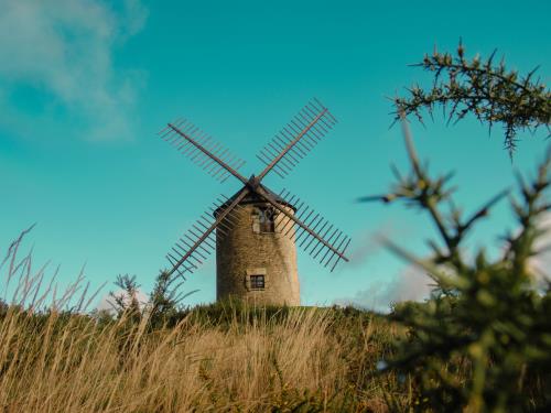 ST-JACUT-LES-PINS - La Butte Des Moulins_madoline bauthamy (1)