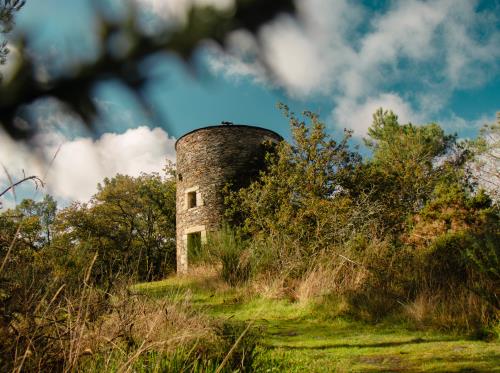 ST-JACUT-LES-PINS - La Butte Des Moulins_madoline bauthamy (13)
