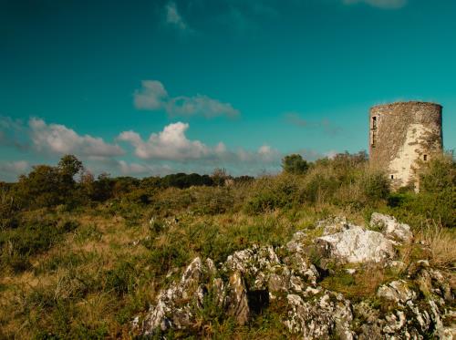 ST-JACUT-LES-PINS - La Butte Des Moulins_madoline bauthamy (27)
