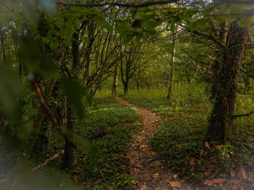 ST-JACUT-LES-PINS - La Butte Des Moulins_madoline bauthamy (48)