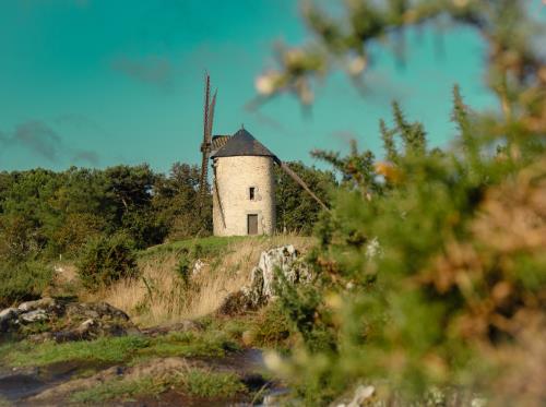 ST-JACUT-LES-PINS - La Butte Des Moulins_madoline bauthamy (54)