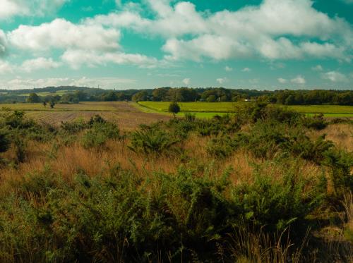 ST-JACUT-LES-PINS - La Butte Des Moulins_madoline bauthamy (59)