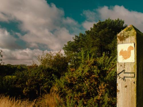 ST-JACUT-LES-PINS - La Butte Des Moulins_madoline bauthamy (9)