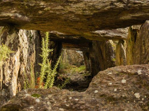 ST-JUST - Dolmen de Tréal- bauthamy madoline (2)