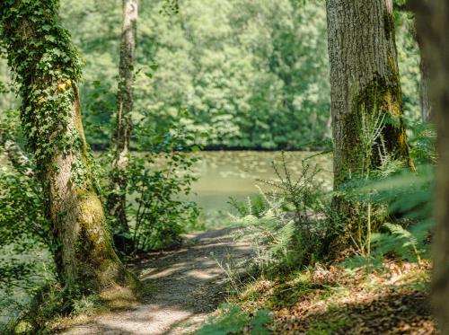 ST-JUST - Site megalithique - bauthamy madoline (30)