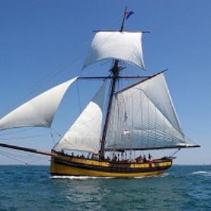 étoile marine—© étoile marine étoile marine