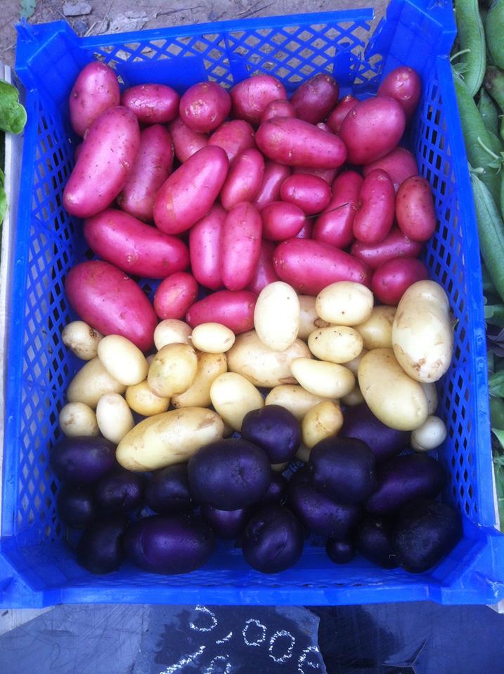 La ferme des Petits Bonhommes