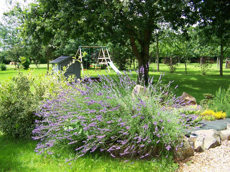 Gîte La Rivière Petit Pied
