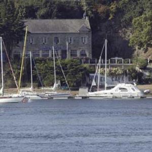 jersey-lillie-pleurtuit—© jersey-lillie-pleurtuit
