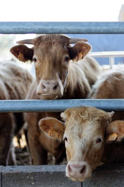 La Ferme de la Picardière
