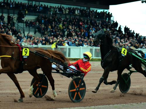 (2) GNDT - Maure de Bretagne-AGEFF PROD