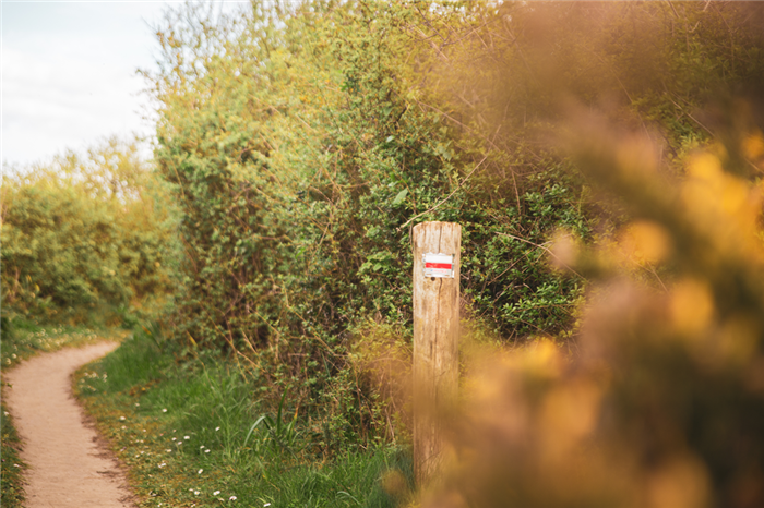 GR34 Tertre Corlieu - ©DCET