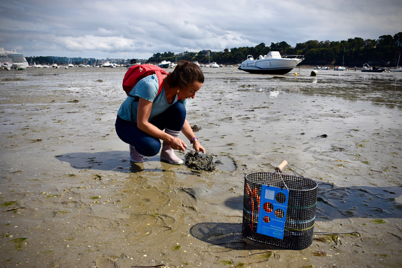 ©Nicolas_Juignet_ Atelier Retour de  Pêche - balades culinaires 1