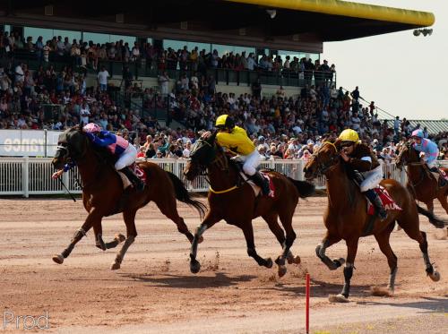 HIPPODROME MAURE DE BRETAGNE