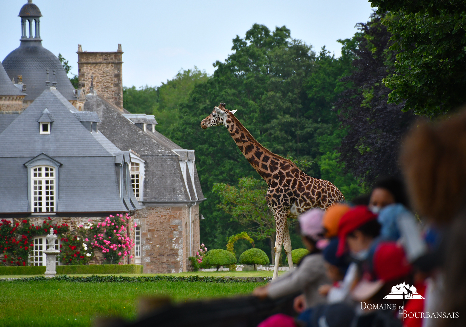 2023_girafes+château+visiteurs_logotypée