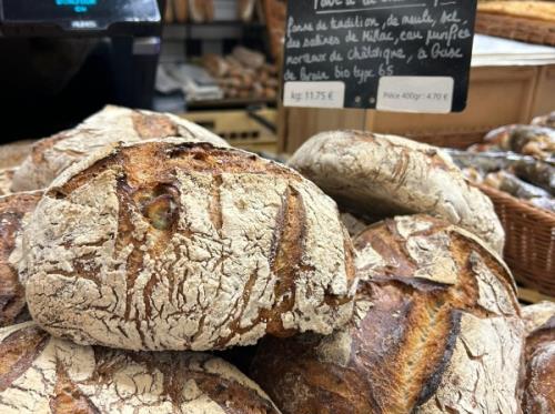 2026-PHOTOS-GUILBAUD (1)