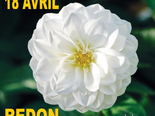 2026-SHPR-Affiche_hd—salon végétal 2026-SHPR-Affiche_hd