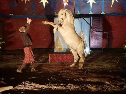 Spectacle Noël—Théâtre des Utopies Spectacle Noël