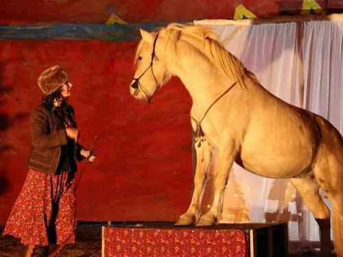 Spectacle Noël—Théâtre des Utopies Spectacle Noël