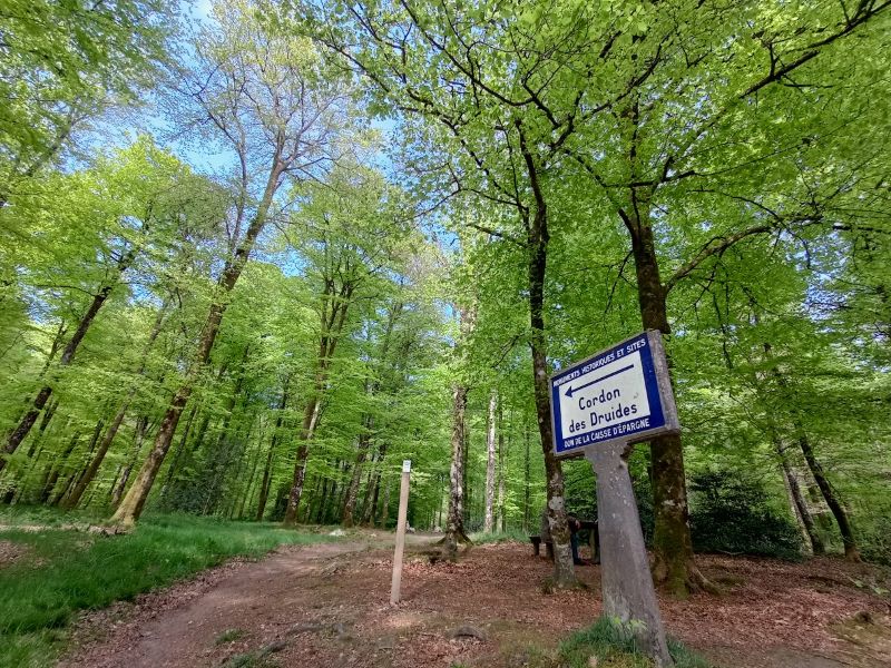 Cordon des druides