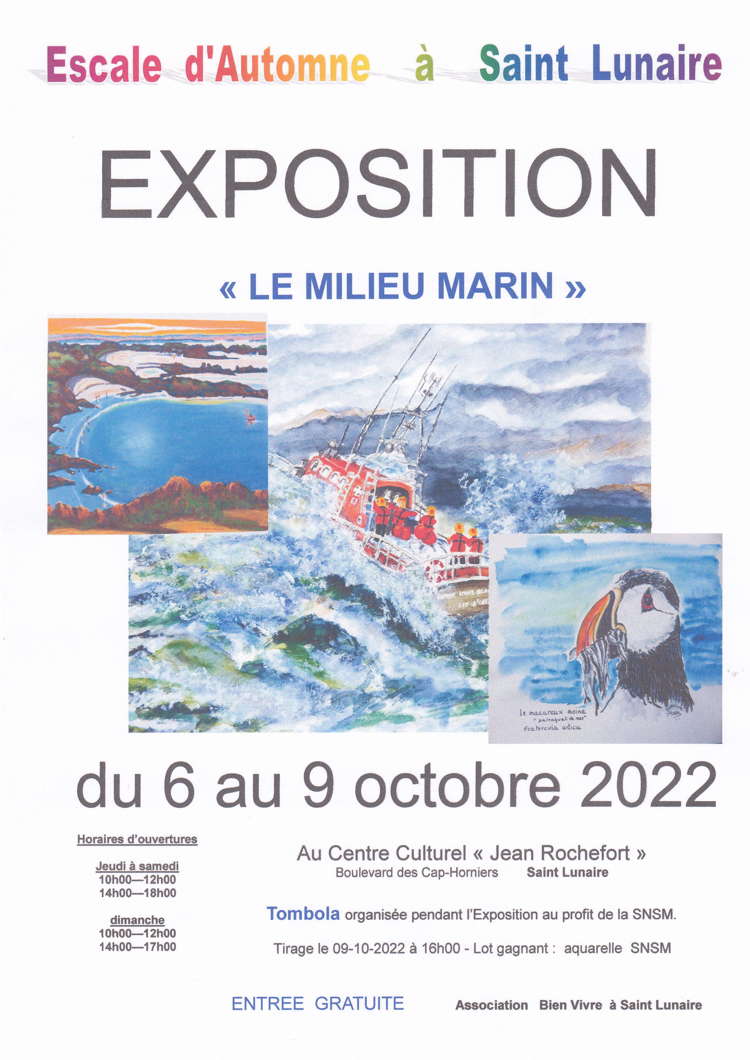 Exposition : Le milieu marin