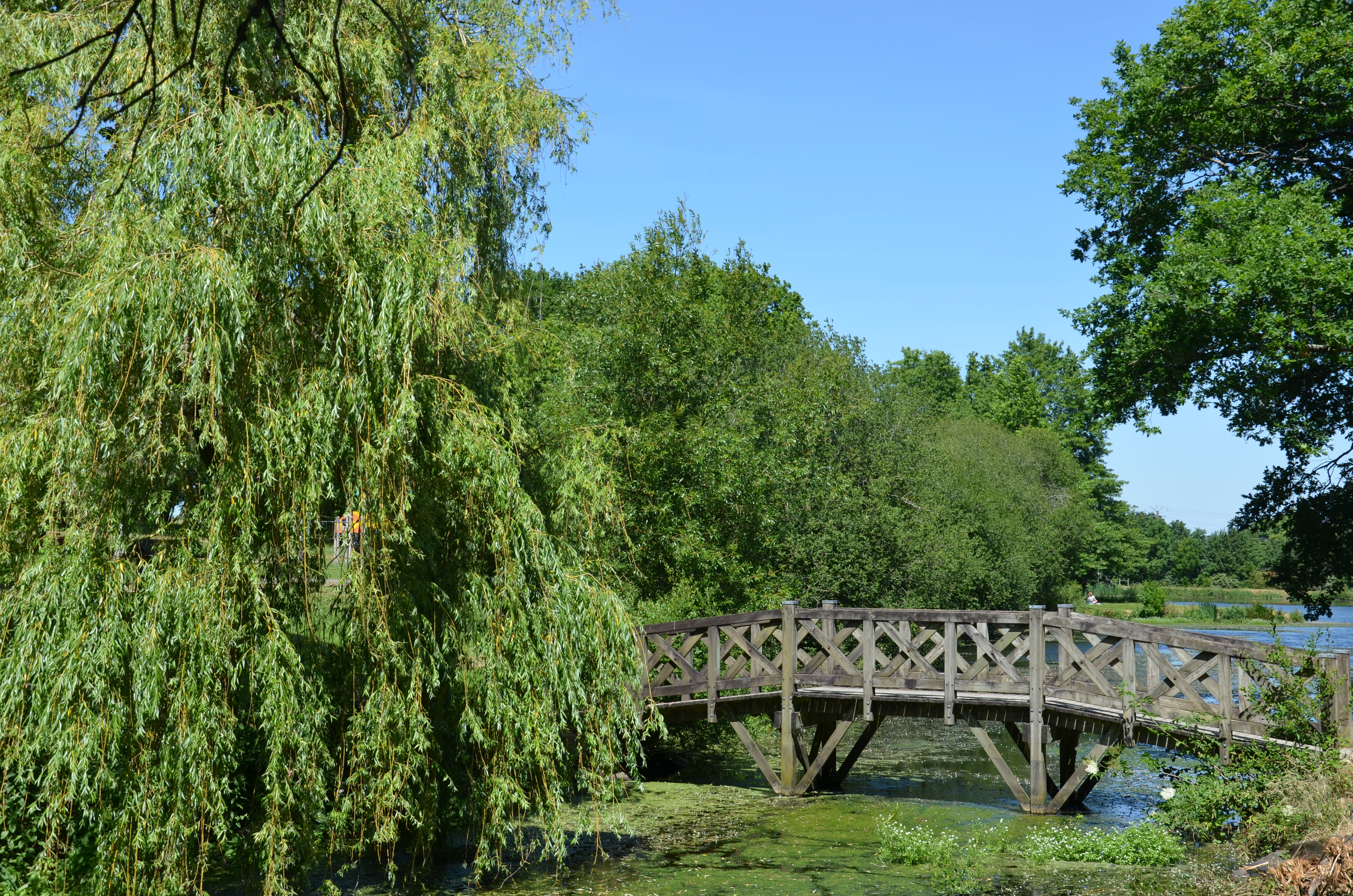 ALLAIRE - Etangs de Coueslé_nathalie guillemain - 6 - Nathalie Guillemain