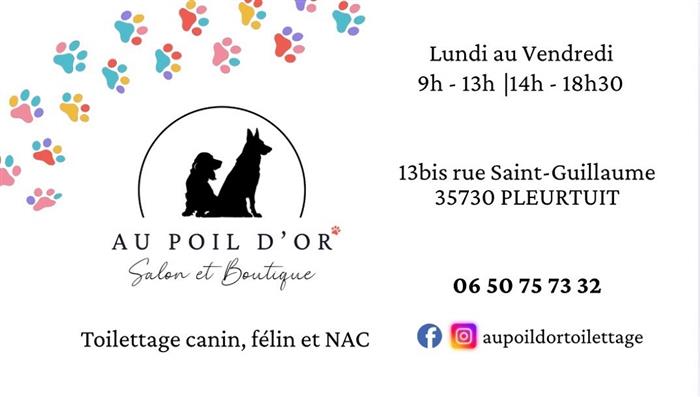 AU POIL D'OR 1 - © Au poil d'or