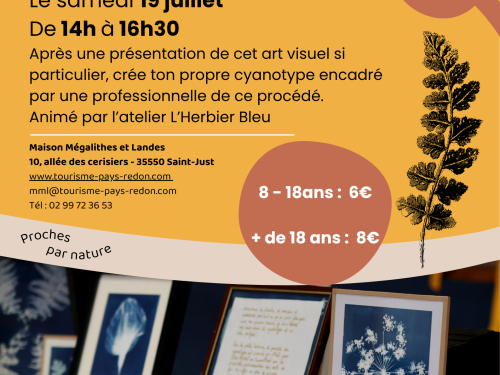 Anims_MML_Cyanotypes - Affiche