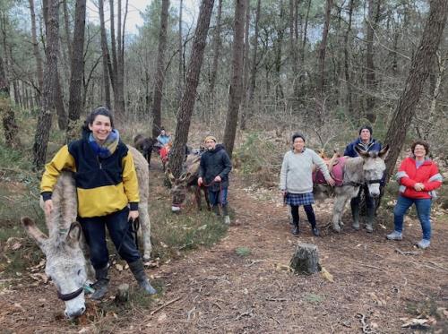 Aux anes etc - Formation ânes 7