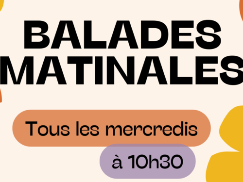 BALADES_MATINALES_2_STM
