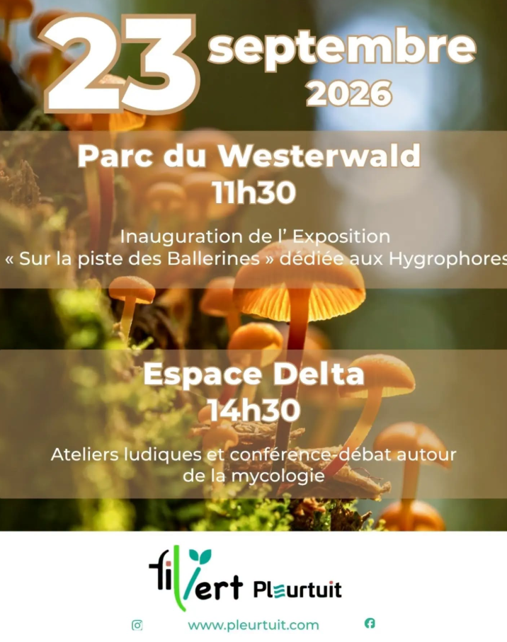 © Mairie de Pleurtuit