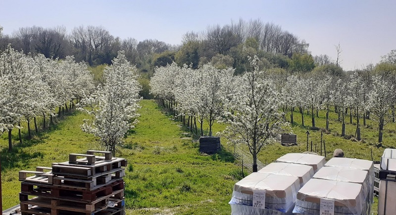 © Cidrerie Distillerie Jouny