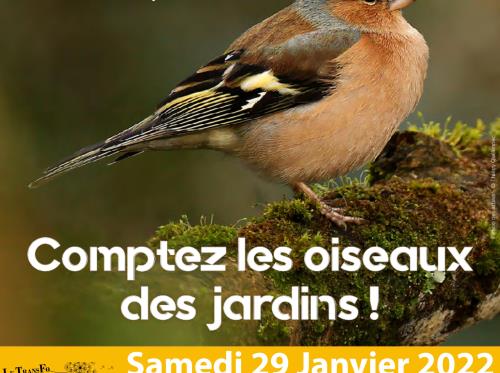 Comptage Oiseaux 29-01-22-page001