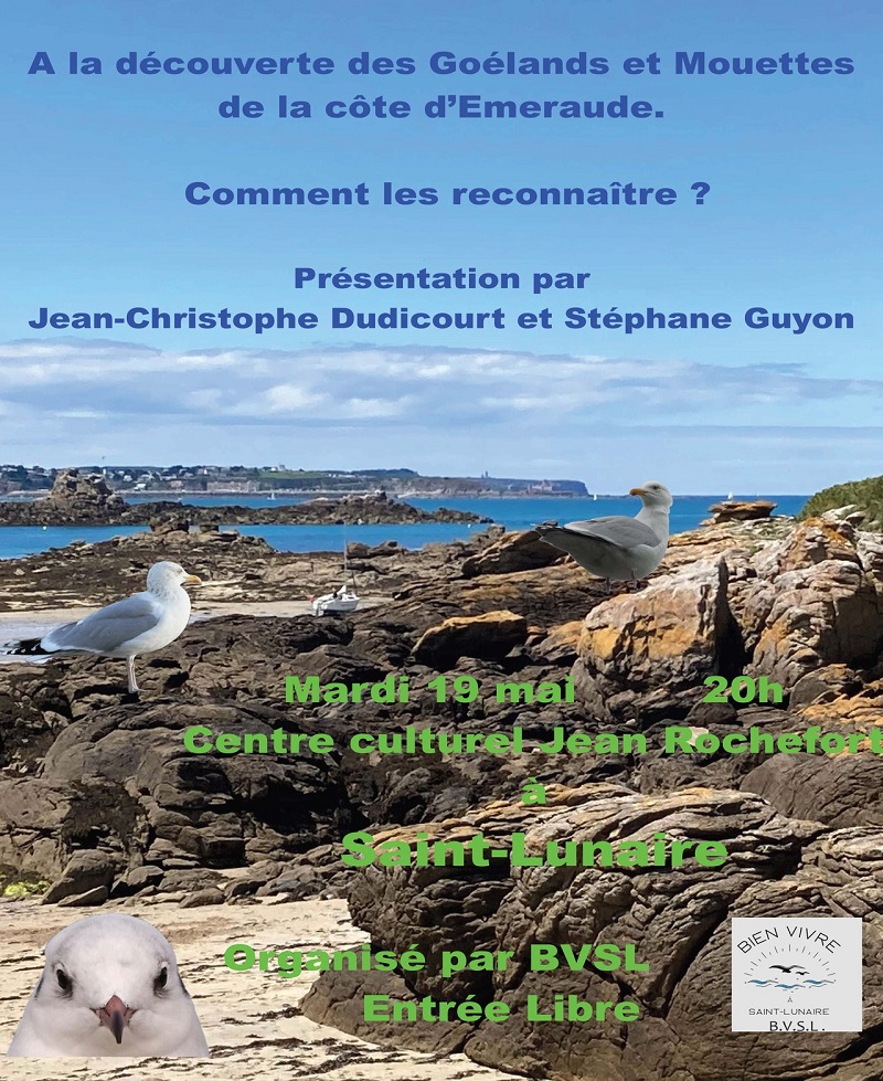 ©  Bien Vivre à Saint-Lunaire